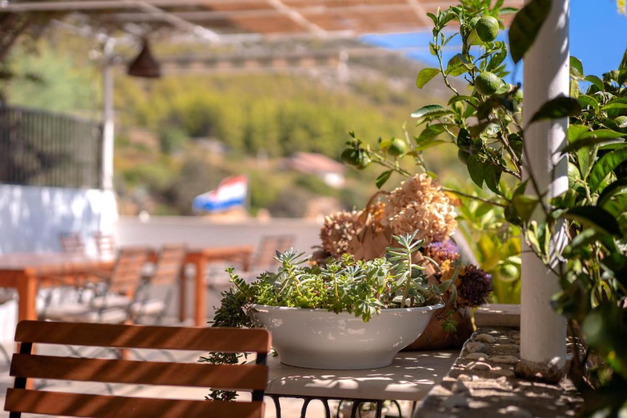 Pansion Marjan Hotel Zavala Kültér fotó