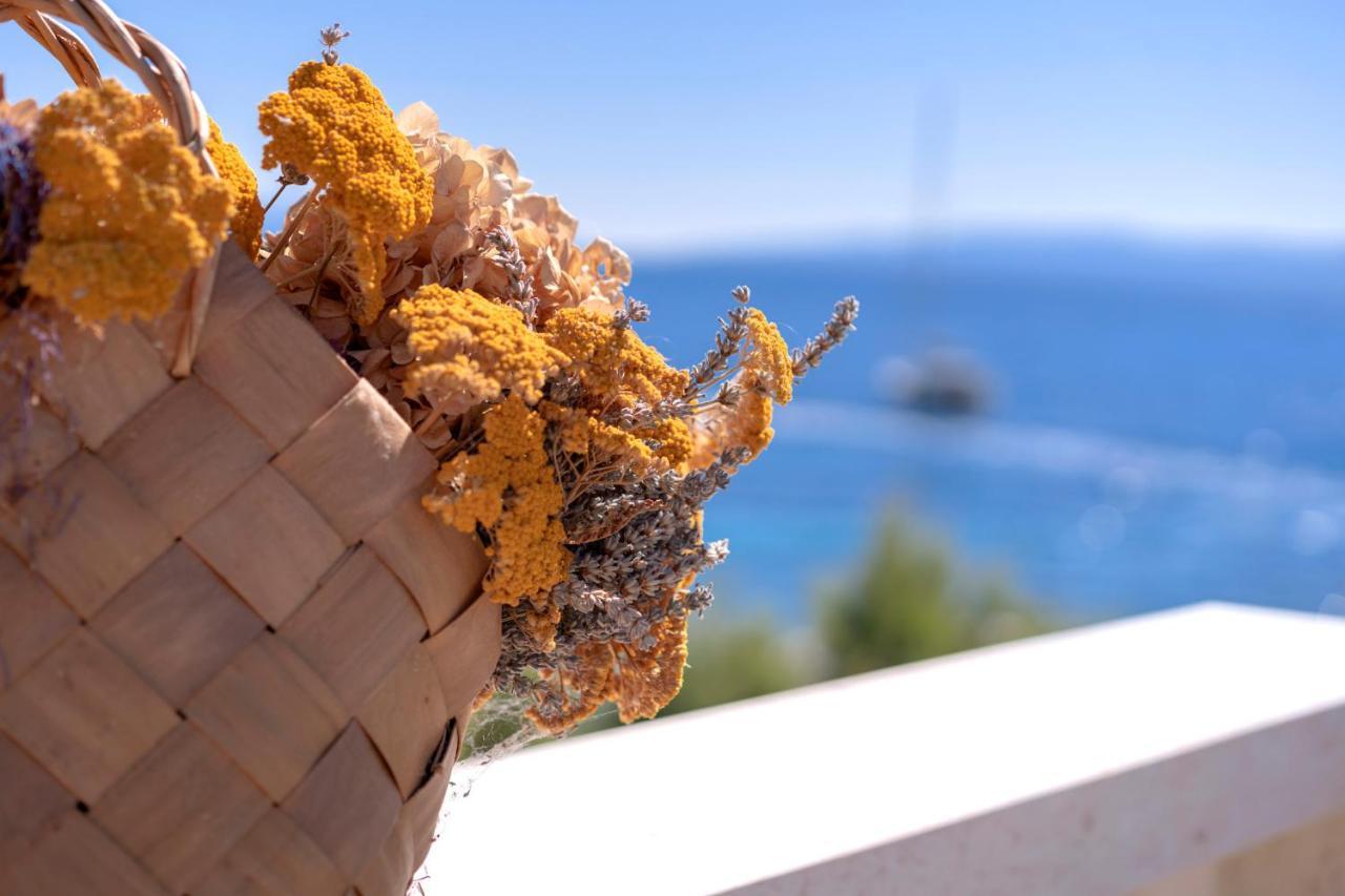 Pansion Marjan Hotel Zavala Kültér fotó